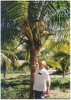 Daddy and the Palm Tree